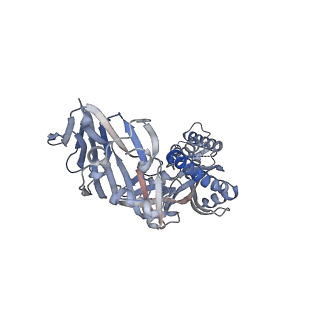 27024_8cw9_F_v1-1
Prefusion-stabilized hMPV fusion protein bound to ADI-61026 and MPE8 Fabs