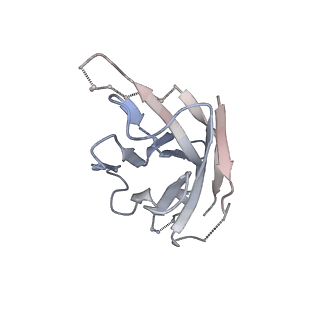27024_8cw9_H_v1-1
Prefusion-stabilized hMPV fusion protein bound to ADI-61026 and MPE8 Fabs