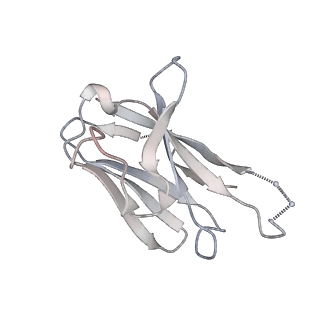 27024_8cw9_K_v1-1
Prefusion-stabilized hMPV fusion protein bound to ADI-61026 and MPE8 Fabs
