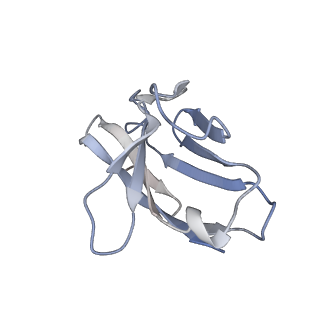 27024_8cw9_O_v1-1
Prefusion-stabilized hMPV fusion protein bound to ADI-61026 and MPE8 Fabs
