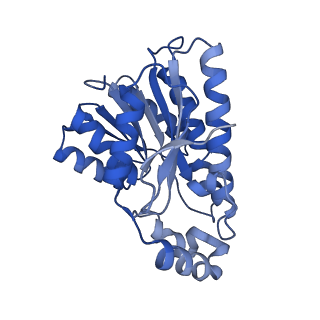 27025_8cwl_A_v1-0
Cryo-EM structure of Human 15-PGDH in complex with small molecule SW222746