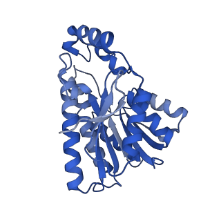 27025_8cwl_B_v1-0
Cryo-EM structure of Human 15-PGDH in complex with small molecule SW222746