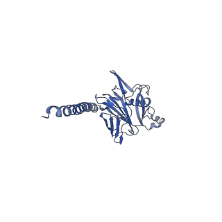 27026_8cwm_6_v1-2
Cryo-EM structure of the supercoiled S. islandicus REY15A archaeal flagellar filament