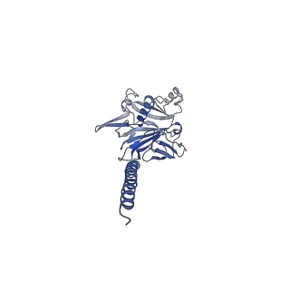 27026_8cwm_C_v1-2
Cryo-EM structure of the supercoiled S. islandicus REY15A archaeal flagellar filament