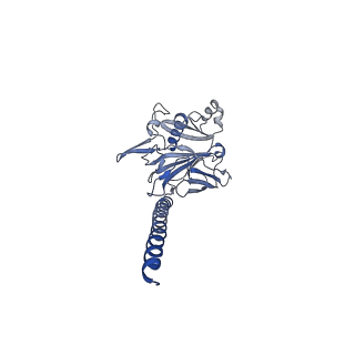 27026_8cwm_D_v1-2
Cryo-EM structure of the supercoiled S. islandicus REY15A archaeal flagellar filament