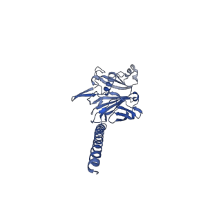 27026_8cwm_F_v1-2
Cryo-EM structure of the supercoiled S. islandicus REY15A archaeal flagellar filament