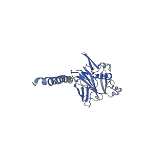 27026_8cwm_N_v1-2
Cryo-EM structure of the supercoiled S. islandicus REY15A archaeal flagellar filament