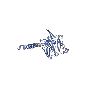 27026_8cwm_W_v1-2
Cryo-EM structure of the supercoiled S. islandicus REY15A archaeal flagellar filament