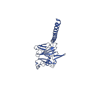 27026_8cwm_c_v1-2
Cryo-EM structure of the supercoiled S. islandicus REY15A archaeal flagellar filament