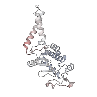 27028_8cwo_B_v1-1
Cutibacterium acnes 30S ribosomal subunit with Sarecycline bound, body domain only in the local refined map
