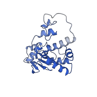 27028_8cwo_D_v1-1
Cutibacterium acnes 30S ribosomal subunit with Sarecycline bound, body domain only in the local refined map