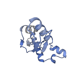 27028_8cwo_E_v1-1
Cutibacterium acnes 30S ribosomal subunit with Sarecycline bound, body domain only in the local refined map