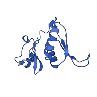 27028_8cwo_H_v1-1
Cutibacterium acnes 30S ribosomal subunit with Sarecycline bound, body domain only in the local refined map