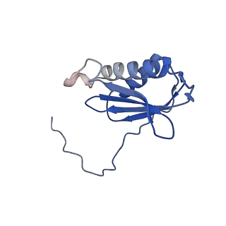 27028_8cwo_K_v1-1
Cutibacterium acnes 30S ribosomal subunit with Sarecycline bound, body domain only in the local refined map