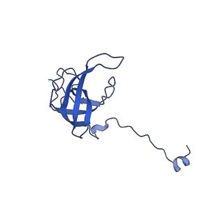 27028_8cwo_L_v1-1
Cutibacterium acnes 30S ribosomal subunit with Sarecycline bound, body domain only in the local refined map