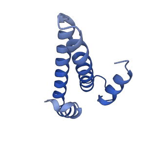 27028_8cwo_O_v1-1
Cutibacterium acnes 30S ribosomal subunit with Sarecycline bound, body domain only in the local refined map