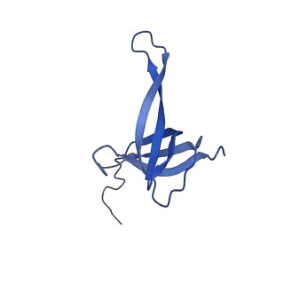 27028_8cwo_Q_v1-1
Cutibacterium acnes 30S ribosomal subunit with Sarecycline bound, body domain only in the local refined map