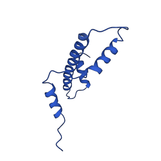 27030_8cww_A_v1-0
Structure of S. cerevisiae Hop1 CBR bound to a nucleosome