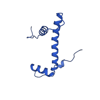 27030_8cww_B_v1-0
Structure of S. cerevisiae Hop1 CBR bound to a nucleosome
