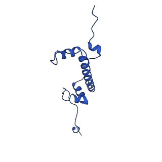 27030_8cww_C_v1-0
Structure of S. cerevisiae Hop1 CBR bound to a nucleosome