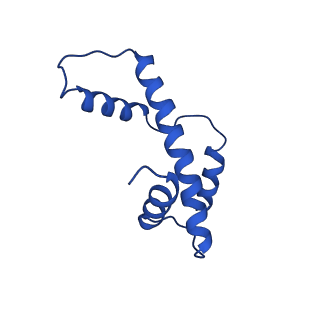 27030_8cww_E_v1-0
Structure of S. cerevisiae Hop1 CBR bound to a nucleosome
