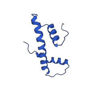 27030_8cww_F_v1-0
Structure of S. cerevisiae Hop1 CBR bound to a nucleosome