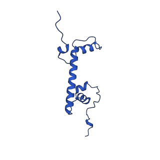 27030_8cww_G_v1-0
Structure of S. cerevisiae Hop1 CBR bound to a nucleosome
