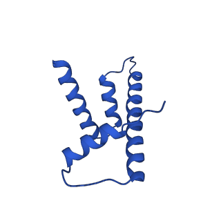 27030_8cww_H_v1-0
Structure of S. cerevisiae Hop1 CBR bound to a nucleosome