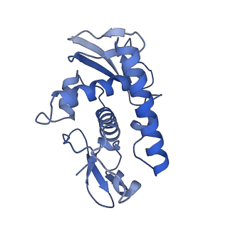 27030_8cww_P_v1-0
Structure of S. cerevisiae Hop1 CBR bound to a nucleosome