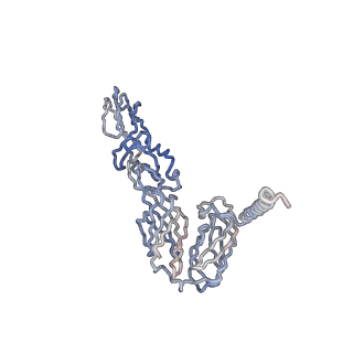 30479_7cw2_A_v1-1
Cryo-EM structure of Chikungunya virus in complex with Fab fragments of mAb CHK-263 (subregion around icosahedral 5-fold vertex)