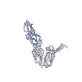 30479_7cw2_A_v1-2
Cryo-EM structure of Chikungunya virus in complex with Fab fragments of mAb CHK-263 (subregion around icosahedral 5-fold vertex)