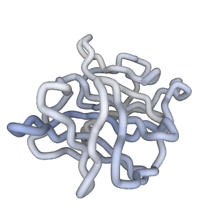 30479_7cw2_C_v1-2
Cryo-EM structure of Chikungunya virus in complex with Fab fragments of mAb CHK-263 (subregion around icosahedral 5-fold vertex)