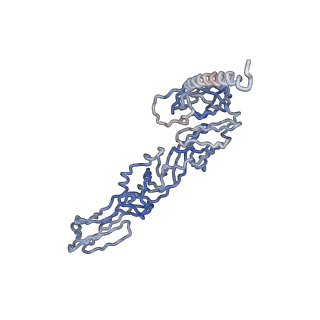 30479_7cw2_G_v1-1
Cryo-EM structure of Chikungunya virus in complex with Fab fragments of mAb CHK-263 (subregion around icosahedral 5-fold vertex)