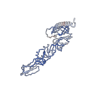 30479_7cw2_G_v1-2
Cryo-EM structure of Chikungunya virus in complex with Fab fragments of mAb CHK-263 (subregion around icosahedral 5-fold vertex)