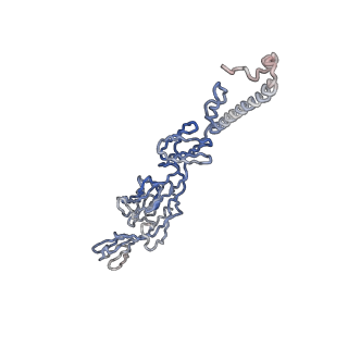 30479_7cw2_H_v1-2
Cryo-EM structure of Chikungunya virus in complex with Fab fragments of mAb CHK-263 (subregion around icosahedral 5-fold vertex)