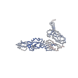 30479_7cw2_J_v1-1
Cryo-EM structure of Chikungunya virus in complex with Fab fragments of mAb CHK-263 (subregion around icosahedral 5-fold vertex)