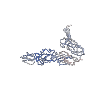 30479_7cw2_J_v1-2
Cryo-EM structure of Chikungunya virus in complex with Fab fragments of mAb CHK-263 (subregion around icosahedral 5-fold vertex)