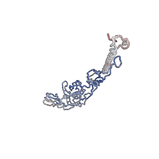 30479_7cw2_K_v1-1
Cryo-EM structure of Chikungunya virus in complex with Fab fragments of mAb CHK-263 (subregion around icosahedral 5-fold vertex)