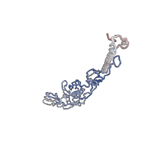 30479_7cw2_K_v1-2
Cryo-EM structure of Chikungunya virus in complex with Fab fragments of mAb CHK-263 (subregion around icosahedral 5-fold vertex)