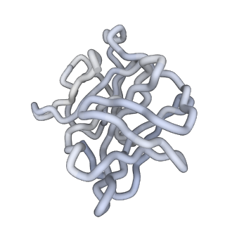 30479_7cw2_L_v1-2
Cryo-EM structure of Chikungunya virus in complex with Fab fragments of mAb CHK-263 (subregion around icosahedral 5-fold vertex)