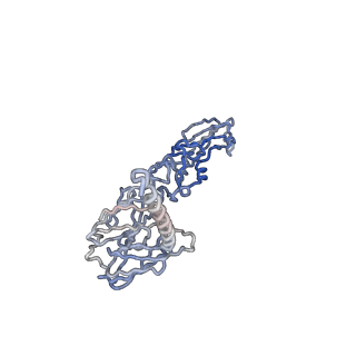 30479_7cw2_M_v1-1
Cryo-EM structure of Chikungunya virus in complex with Fab fragments of mAb CHK-263 (subregion around icosahedral 5-fold vertex)