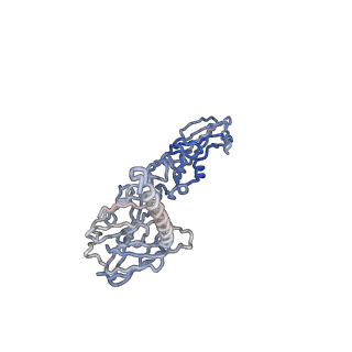 30479_7cw2_M_v1-2
Cryo-EM structure of Chikungunya virus in complex with Fab fragments of mAb CHK-263 (subregion around icosahedral 5-fold vertex)