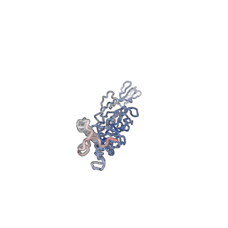 30479_7cw2_N_v1-1
Cryo-EM structure of Chikungunya virus in complex with Fab fragments of mAb CHK-263 (subregion around icosahedral 5-fold vertex)