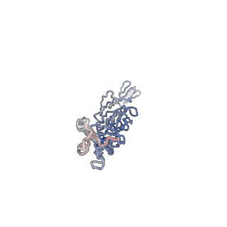 30479_7cw2_N_v1-2
Cryo-EM structure of Chikungunya virus in complex with Fab fragments of mAb CHK-263 (subregion around icosahedral 5-fold vertex)