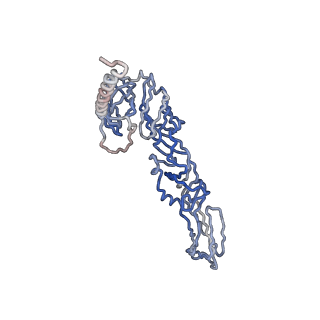 30479_7cw2_P_v1-1
Cryo-EM structure of Chikungunya virus in complex with Fab fragments of mAb CHK-263 (subregion around icosahedral 5-fold vertex)