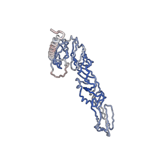 30479_7cw2_P_v1-2
Cryo-EM structure of Chikungunya virus in complex with Fab fragments of mAb CHK-263 (subregion around icosahedral 5-fold vertex)