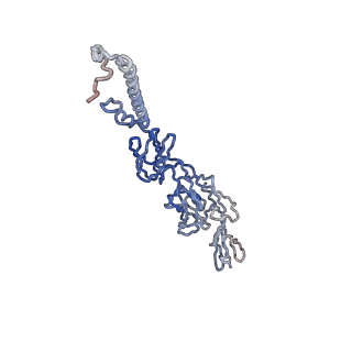 30479_7cw2_Q_v1-1
Cryo-EM structure of Chikungunya virus in complex with Fab fragments of mAb CHK-263 (subregion around icosahedral 5-fold vertex)