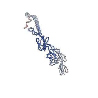 30479_7cw2_Q_v1-2
Cryo-EM structure of Chikungunya virus in complex with Fab fragments of mAb CHK-263 (subregion around icosahedral 5-fold vertex)