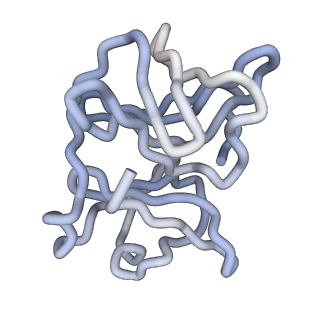 30479_7cw2_R_v1-2
Cryo-EM structure of Chikungunya virus in complex with Fab fragments of mAb CHK-263 (subregion around icosahedral 5-fold vertex)