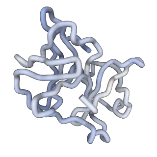 30479_7cw2_S_v1-2
Cryo-EM structure of Chikungunya virus in complex with Fab fragments of mAb CHK-263 (subregion around icosahedral 5-fold vertex)